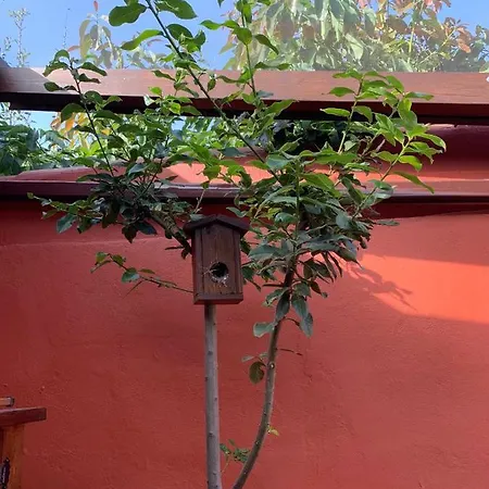 Hébergement de vacances Casa Terrera 