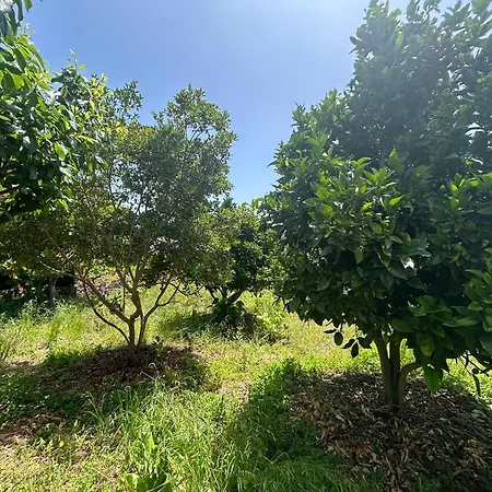 Casa Terrera El Granero * El Tanque