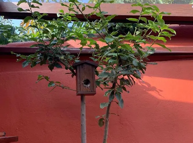 Сasa de vacaciones Casa Terrera El Granero *