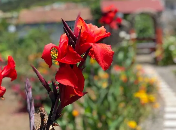 Casa Terrera El Granero *