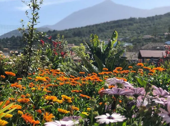 Casa Terrera El Granero El Tanque